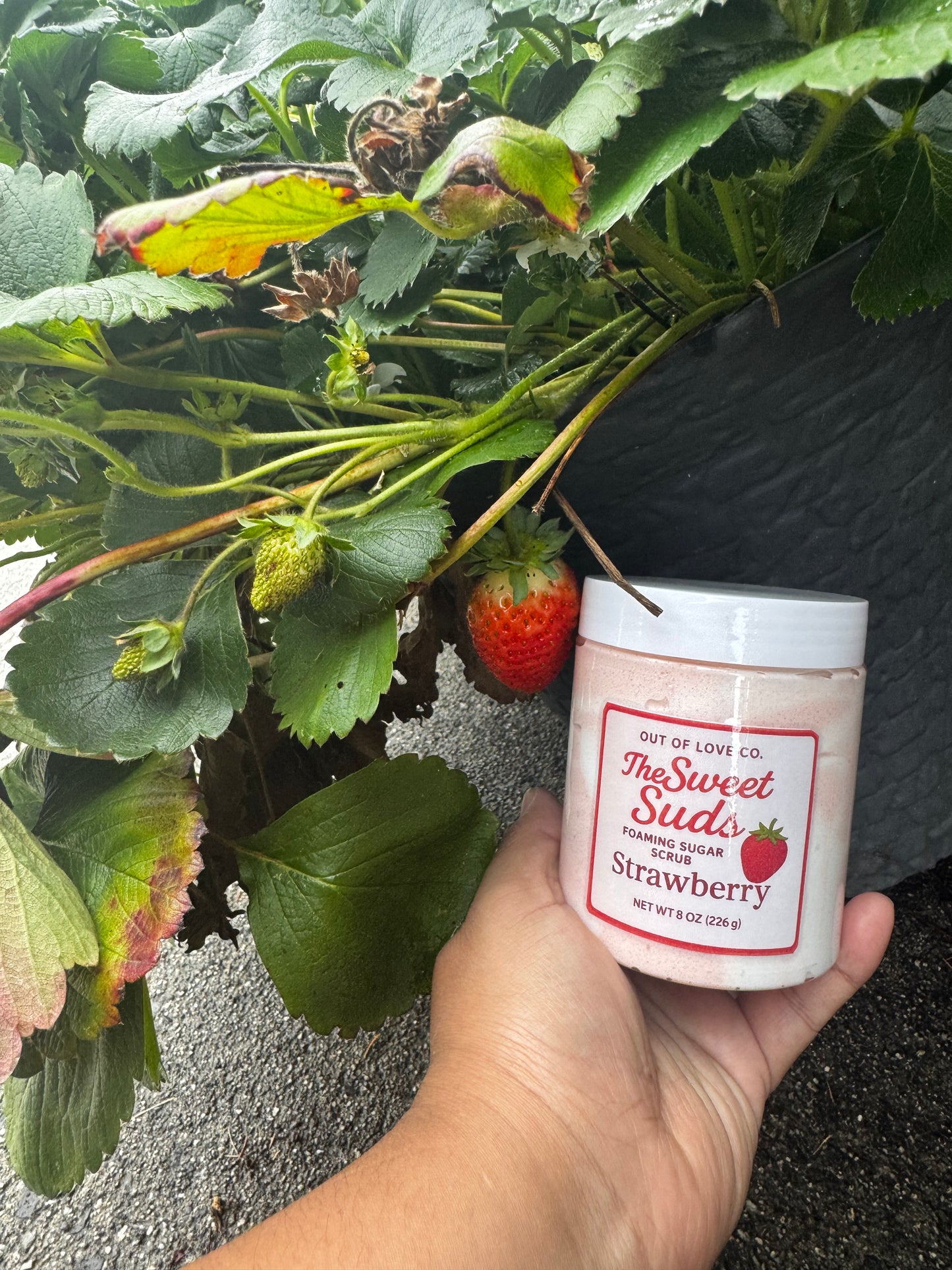 🍓 Foaming Sugar Scrub – Strawberry